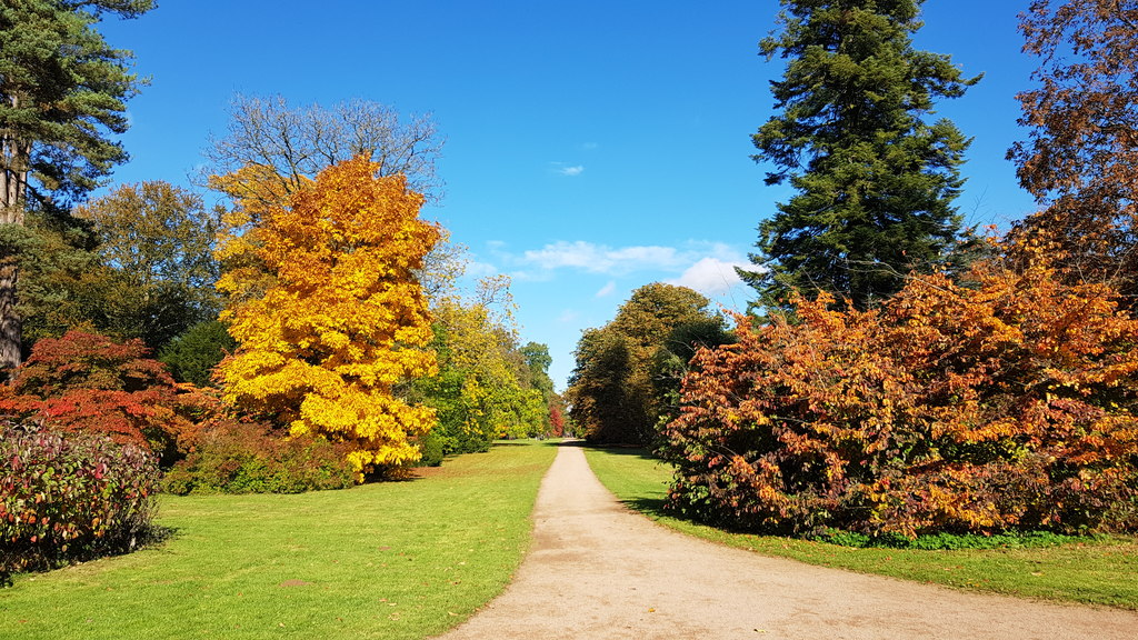 Westonbirt, The National Arboretum